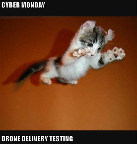 cyber monday drone delivery testing httpchzbgrxsbisa beautiful cats cats  kittens