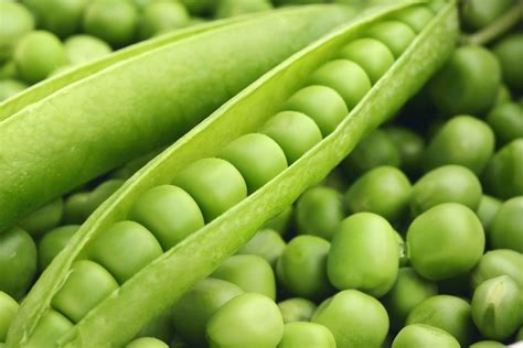 peas      sweet zest  pretty green blush