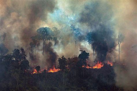 earth   amazon rainforest  completely burned britannica