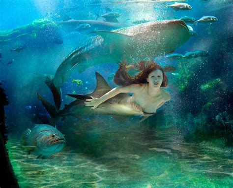 The Shark Queen Mermaid By Fueledbypartii On Deviantart