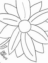 Petals Open Coloringhome sketch template