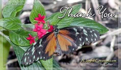 thank you ecard free a joyful creation greeting cards online