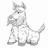 Terrier Scottish Drawing Getdrawings sketch template