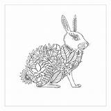 Johanna Basford Coloring Books Rabbit Freecoloringpages Via sketch template
