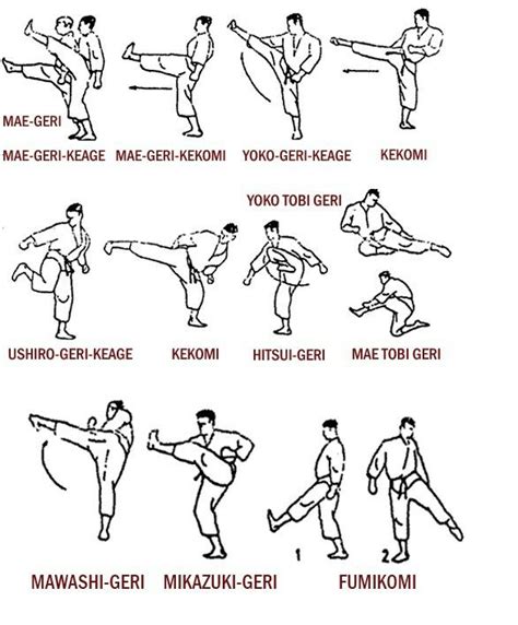 leg drills karate martial arts martial arts kyokushin