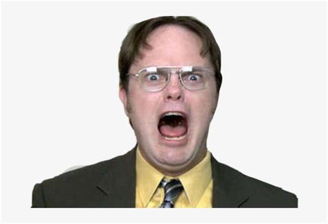 dwight schrute     comprehensive overview