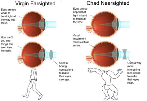 virgin farsighted vs chad nearsighted virginvschad