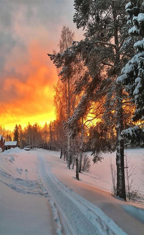 sweden winter landscape winter scenery winter scenes