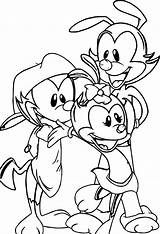 Animaniacs sketch template