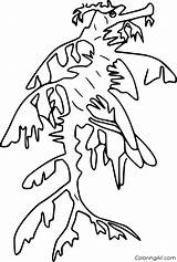 Coloring Pages Seadragon sketch template