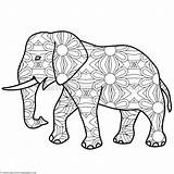 Elephant Coloring Pages Indian Getcolorings sketch template