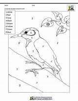 Number Color Woodpecker Worksheet Pages Worksheets Math Kindergarten Salamanders sketch template