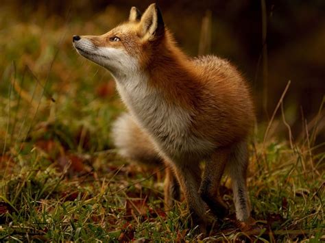 15 Of The Most Incredible Photos From National Geographic