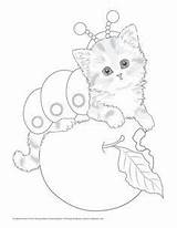 Teacup Kitten Kittens sketch template