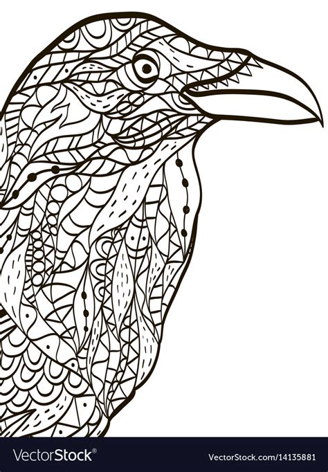 bird head raven coloring book  adults vector image