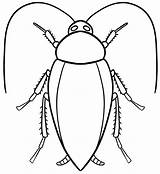 Cucaracha Cockroach sketch template