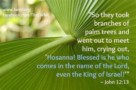 hosanna blessed          lord favorite