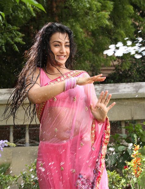 actress trisha krishnan wet hot ultra hd photos in pink saree stills from kalavathi movie