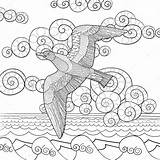 Seagull Volo Gabbiano Antistress Dettagli Alti Volante Doodle Illustrationer sketch template