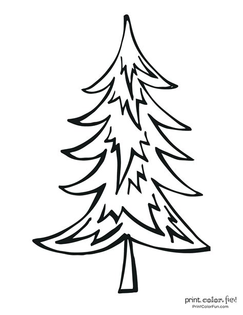 top  christmas tree coloring pages  ultimate  printable