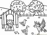 Coloring Farm Pages Farmer Chickens Printable Animal Clipart Chicken Hen Poule Birds China Comments Ancient Hens Library Chicks Coloriage Turkey sketch template