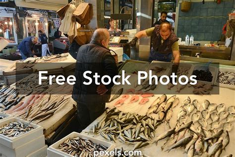 great fish market  pexels  stock