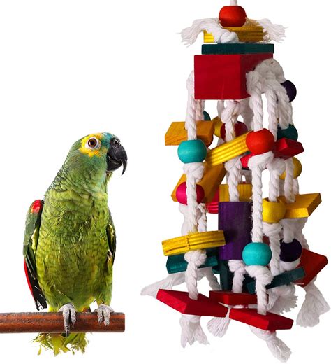 toys    parrot entertained daily pawsify