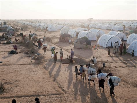 financing  worlds refugee camps world finance