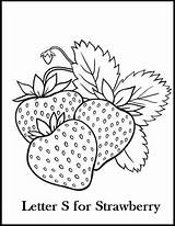 Strawberry Coloring Drawing Pages Printable Line Fruit Kids Colouring Coloringcafe Letter Strawberries Book Fruits Pdf Print Drawings Vine Pattern Color sketch template