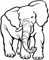 Elephant Coloring Pages Elephants Clipart Shape African sketch template