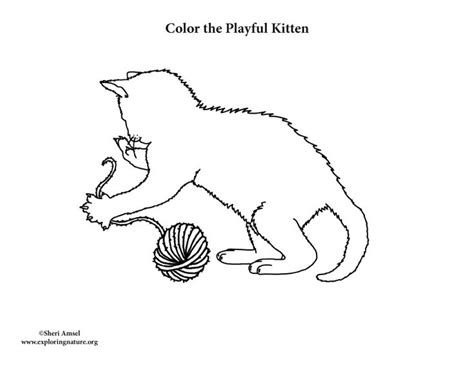 kitten playing  yarn coloring page kittens playing kitten color