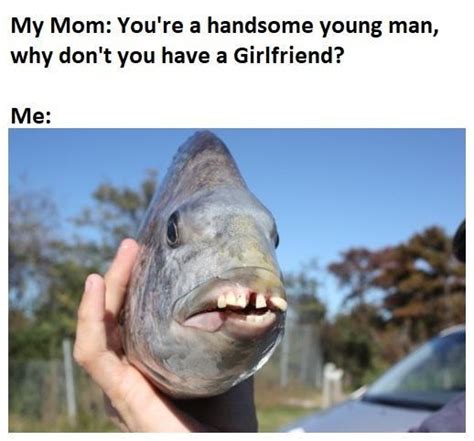 fish memes memedroid