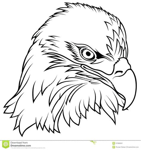 bald eagle easy drawing  getdrawings