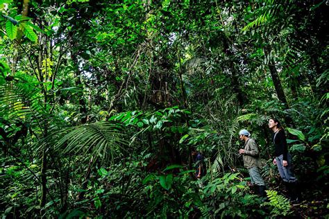 visit  amazon rainforest travel tips