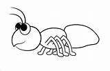 Ant Coloring Cute Pages Animal sketch template