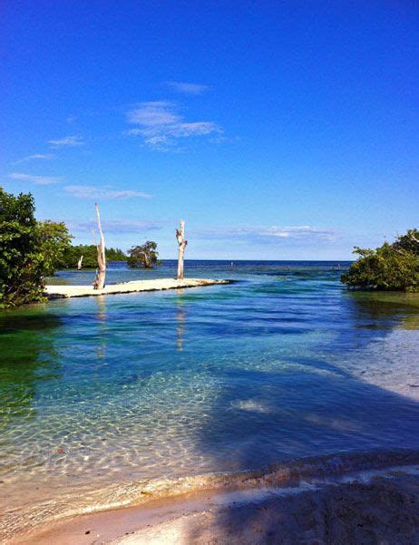 rivers meet  caribbean sea luxury resort resort