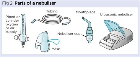 pulmonary administration medicines  dry powder inhalers  nebulisers nursing times
