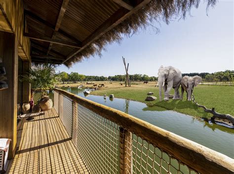 luxury lodges  west midland safari park  part   redevelopment express