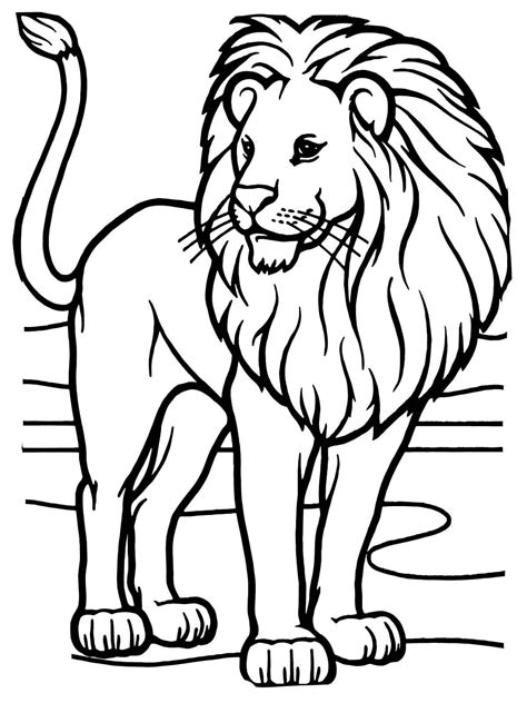 lion face coloring page  kids  lion printable vrogueco