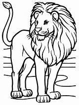 Lion Coloring Pages African Rasta Face Animals Sheet Drawing Zoo Lions Color Animal Sheets Book Print Printable Kids Male Tigers sketch template