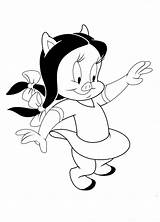 Gaguinho Porky Looney Tunes Petunia Namorada Colorir Tudodesenhos sketch template