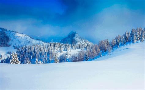 winterbilder pexels kostenlose stock fotos