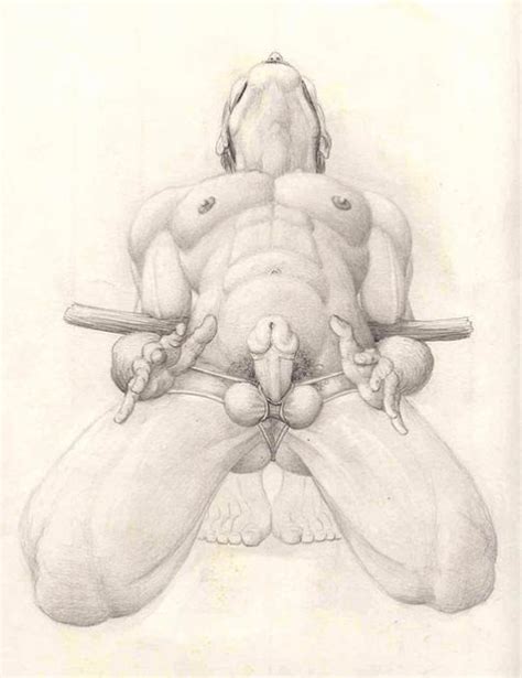 porn penis drawings