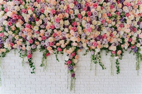 flower wall stock  pictures royalty  images istock