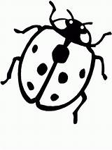 Coccinelle Ladybug Kolorowanki Biedronki Bubamara Colorir Joaninhas Bojanke Crtež Crtezi Printanje Bojanje Ladybugs Osam Template Stampa sketch template
