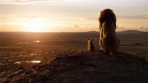 lion king   summary  film synopsis