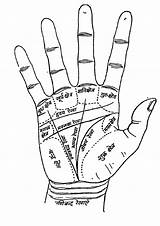 Hindi Palmistry Rekha Hast Reading Palm Astrology Indian Hand Gyan Jyotish Chart Indianpalmreading Chitra हस sketch template