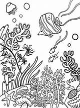 Coral Reef Fun Kids Calendar Coloring Create sketch template