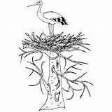 Stork Coloring Getdrawings Pages sketch template