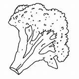 Coloring Pages Broccoli Fruit Food Vegetable Surfnetkids Next Spear sketch template